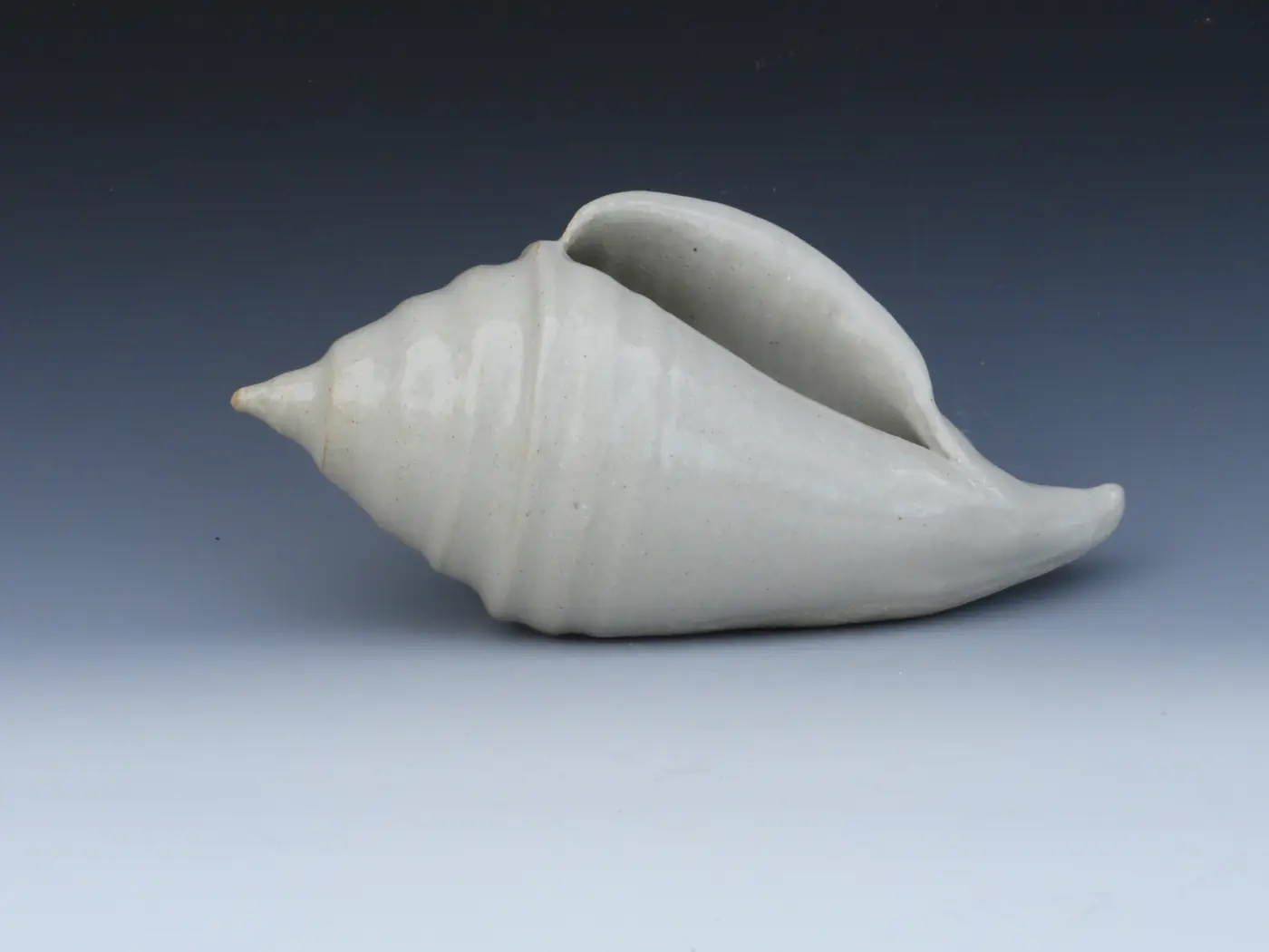 Seashell